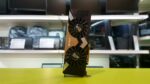 Used Palit GeForce RTX 2080 Ti GamingPro