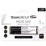 1TB Team MS30 M.2